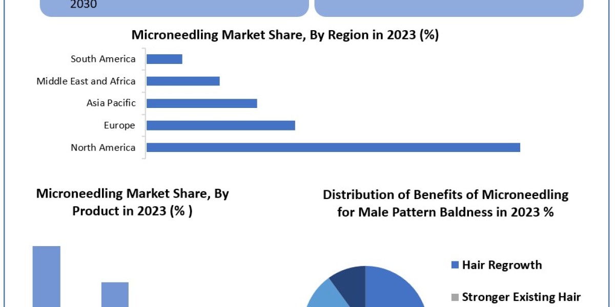 Microneedling Market Worth the Numbers: Size, Share, Revenue, and Statistics Overview | 2024-2030