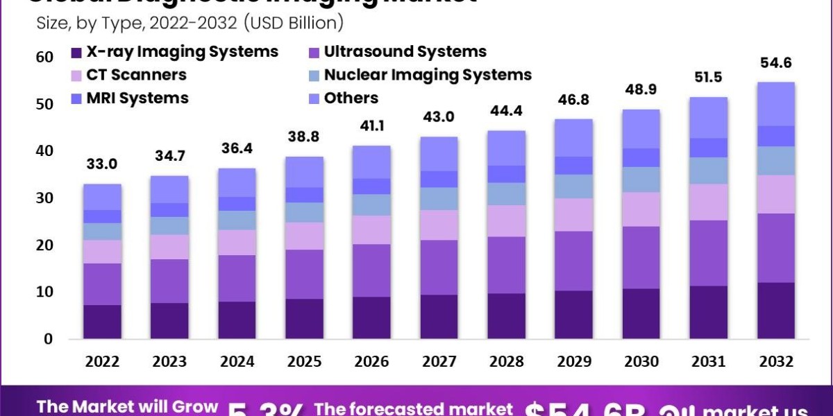 Diagnostics Imaging Market: Market Size, Share, and Growth Forecast 2024-2033