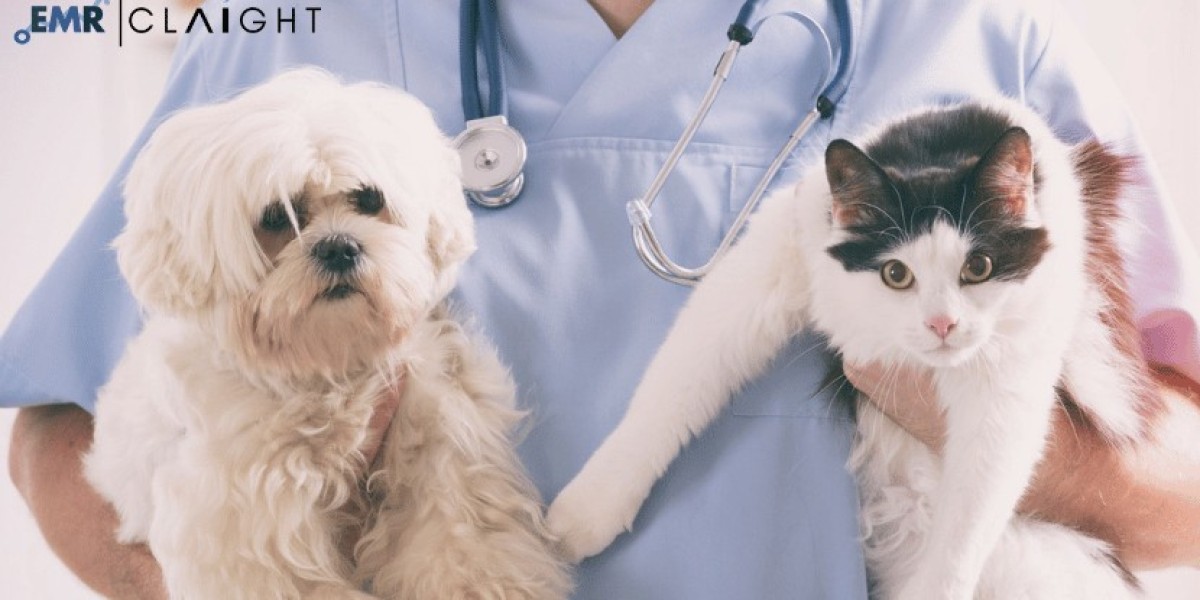 Companion Animal Healthcare Market Size, Share, Industry Trends & Growth Analysis 2032