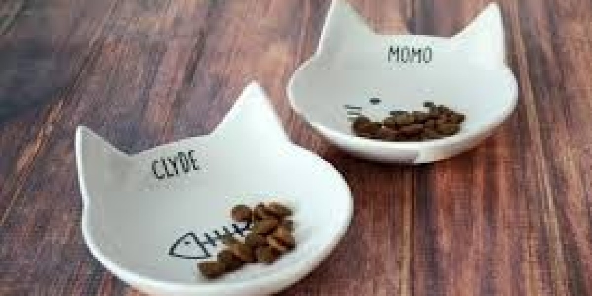 Cat Food Mats: Essential for a Neat and Tidy Feeding Area