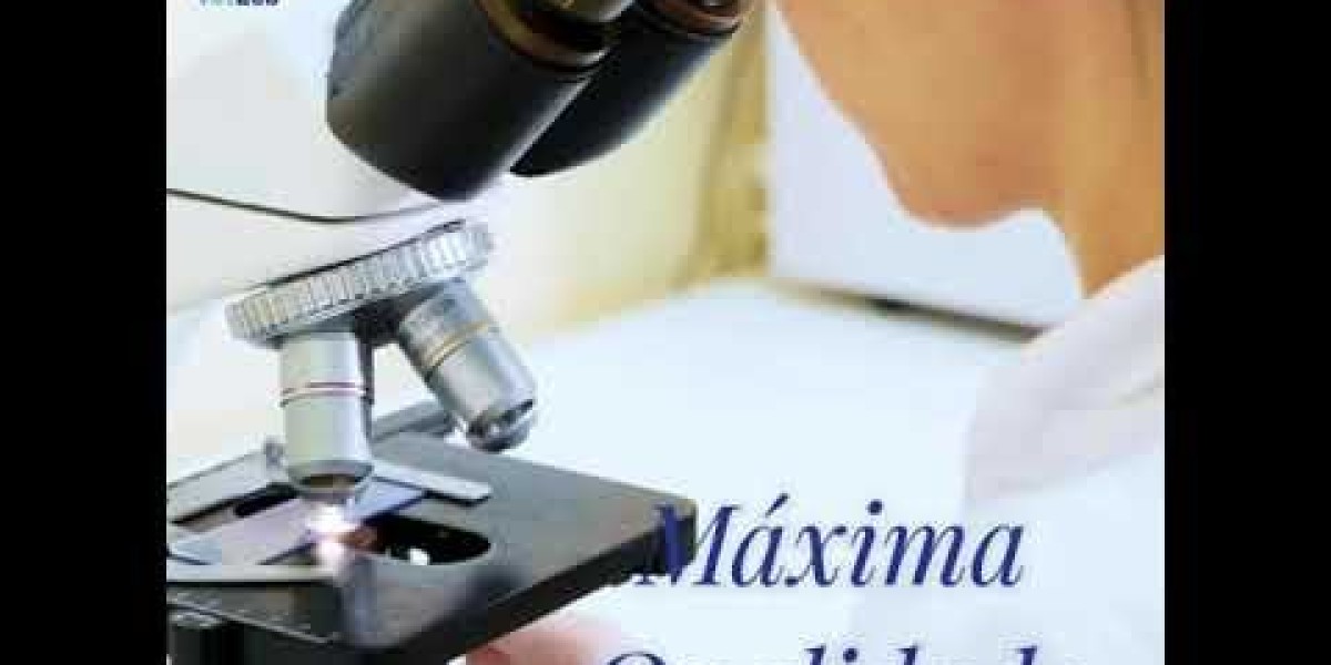 Kidney Disease in Dogs Dog Diseases