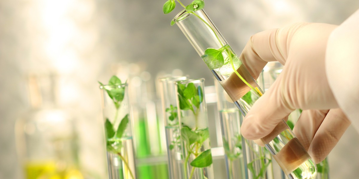 Biostimulants Market Growth Estimated at 10.8% CAGR, USD 9.6 Billion by 2033
