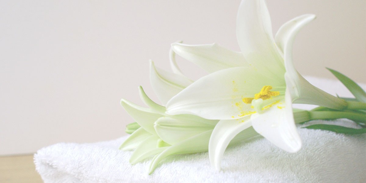 Top Trends in Bulk Towels Supply for the Hospitality Industry