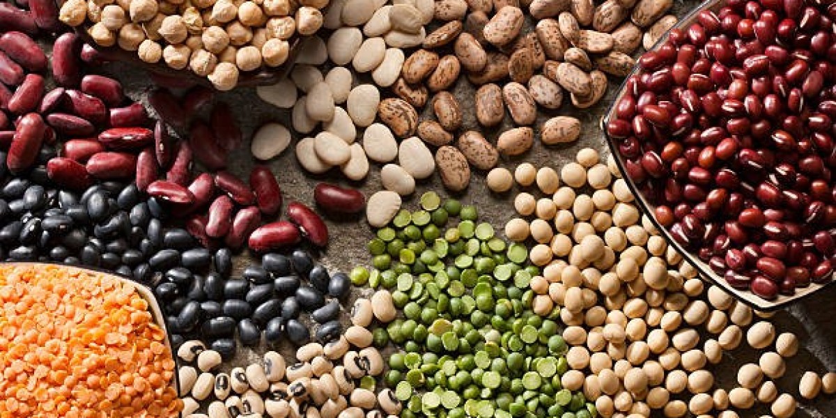 Canned Beans Manufacturing Plant Project Report 2024: Raw Materials, Investment Opportunities, Cost and Revenue