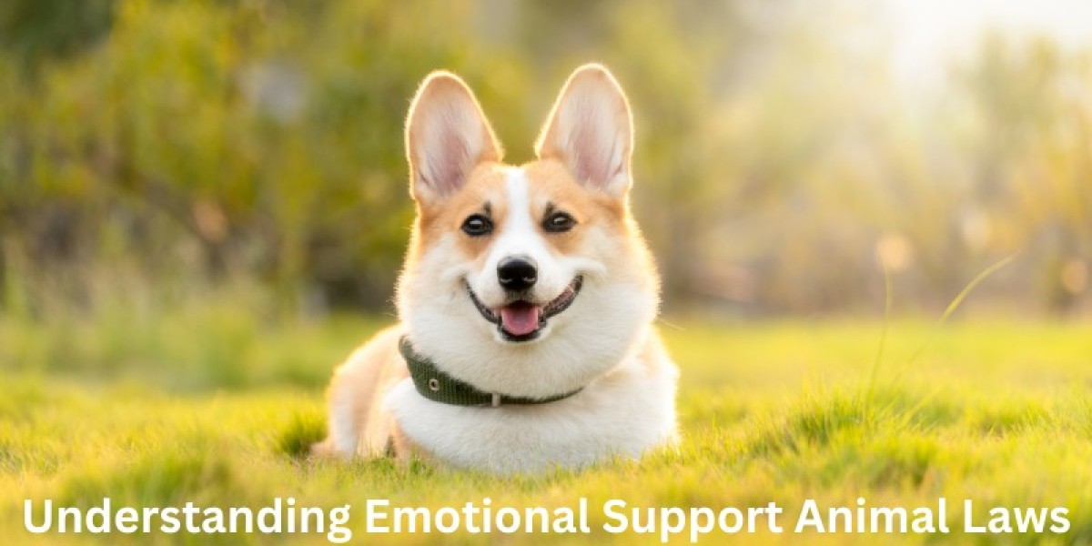Understanding Emotional Support Animal Laws in Kansas