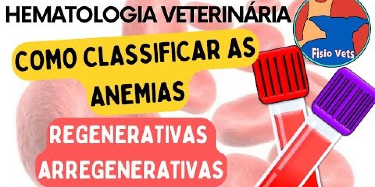 Understanding Blood Work: The Complete Blood Count CBC for Dogs