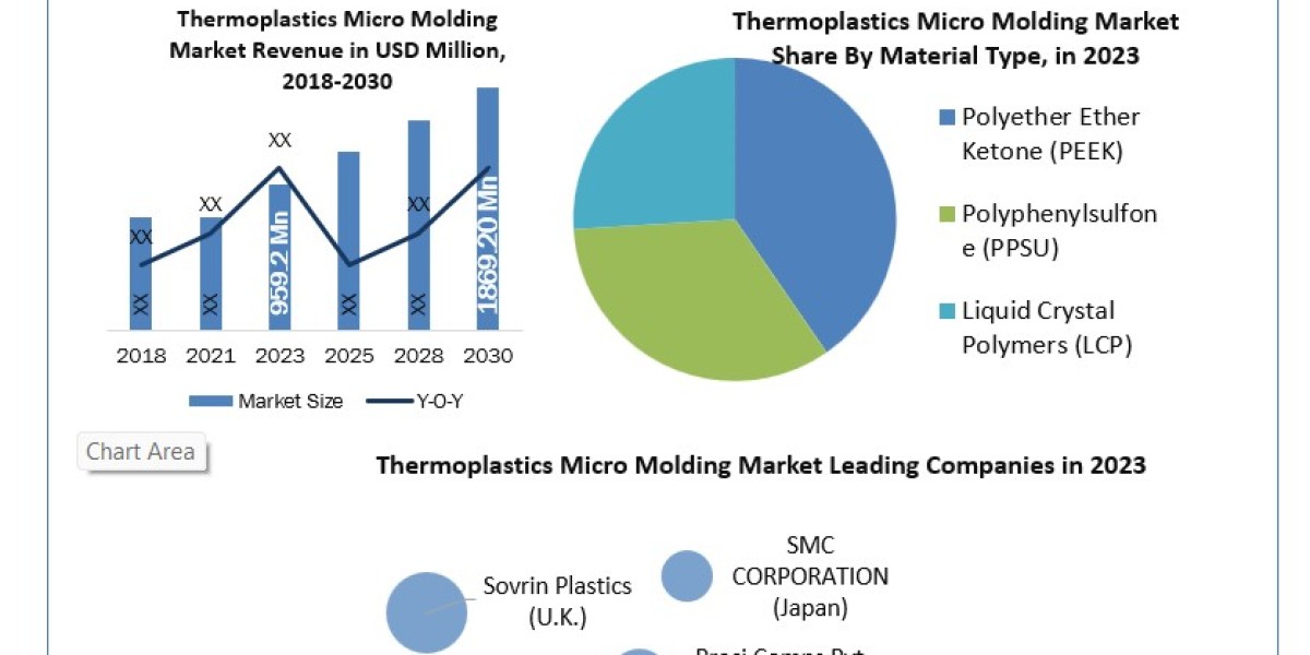 Thermoplastics Micro Molding Market  Application, Breaking Barriers, Key Companies Forecast 2030