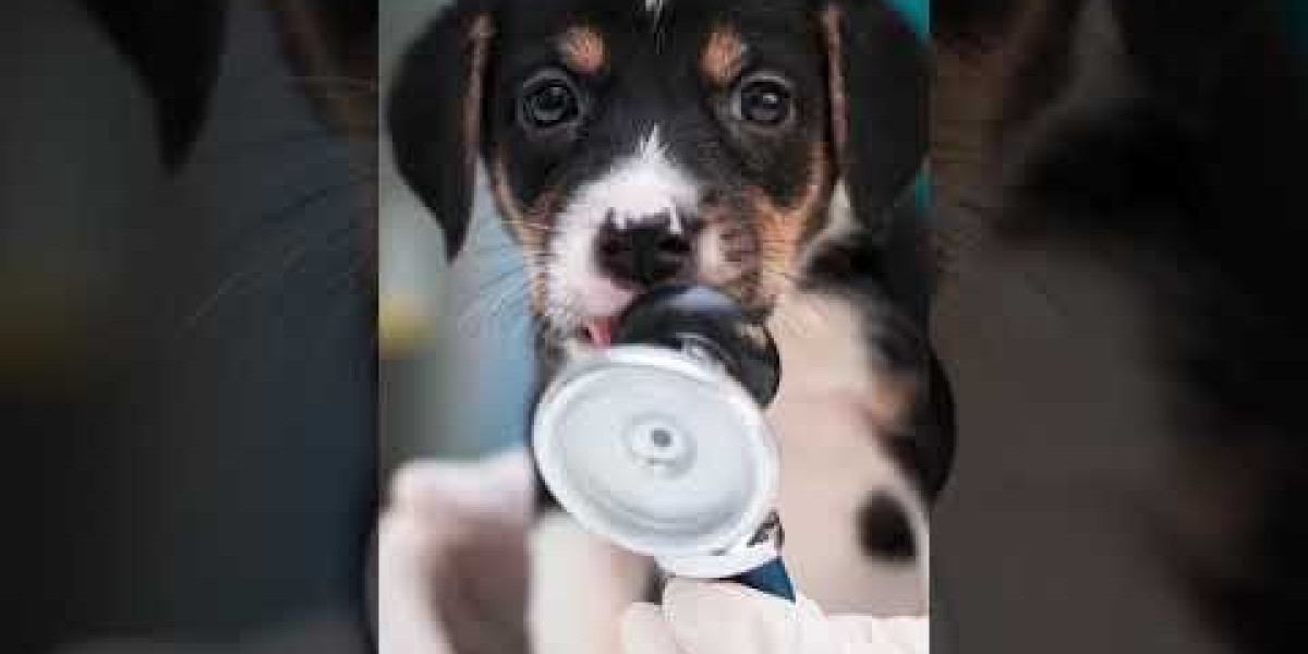 How to perform a manual CBC VETgirl Veterinary Continuing Education Blog
