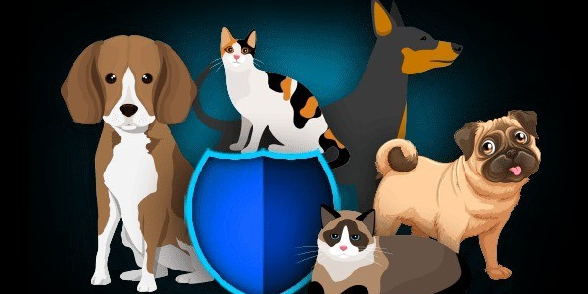 Pet Insurance Market Size, Growth, Trends, Demand and Forecast 2024-2032
