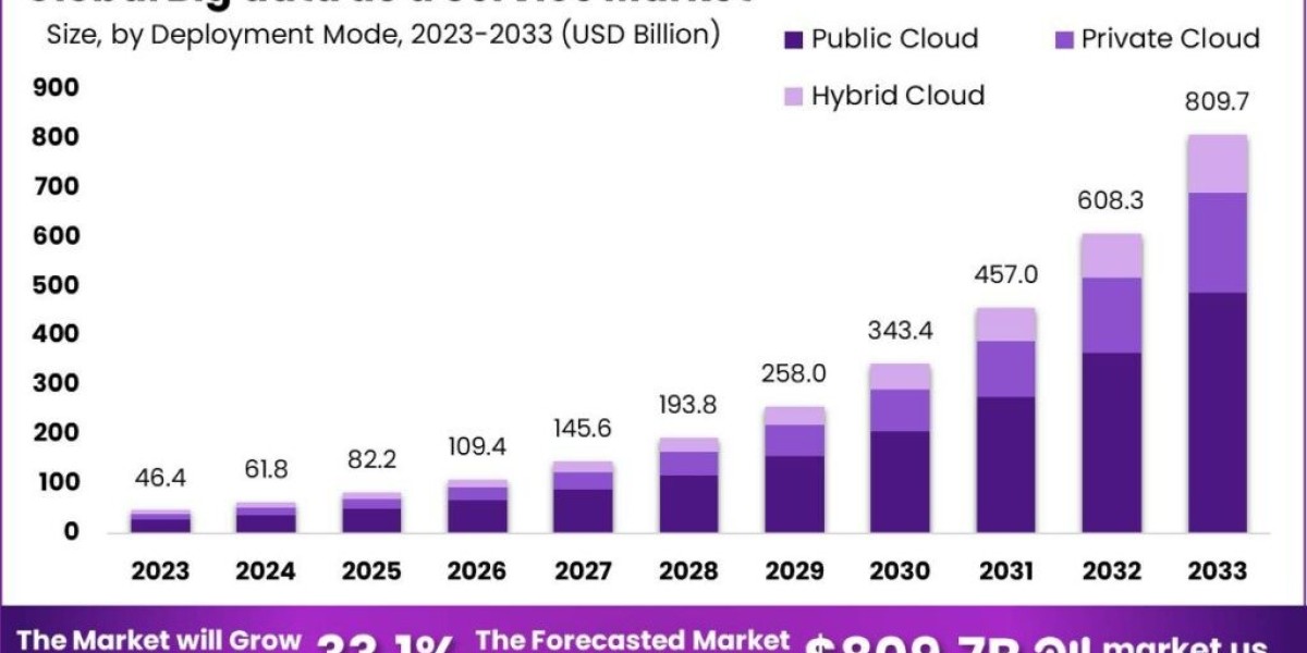 Big Data as a Service Market : Shaping the Future of Data Services