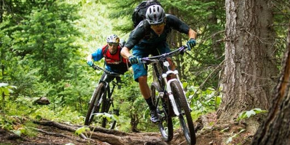 Seasonal Bike Rentals: Exploring Different Terrains Throughout the Year