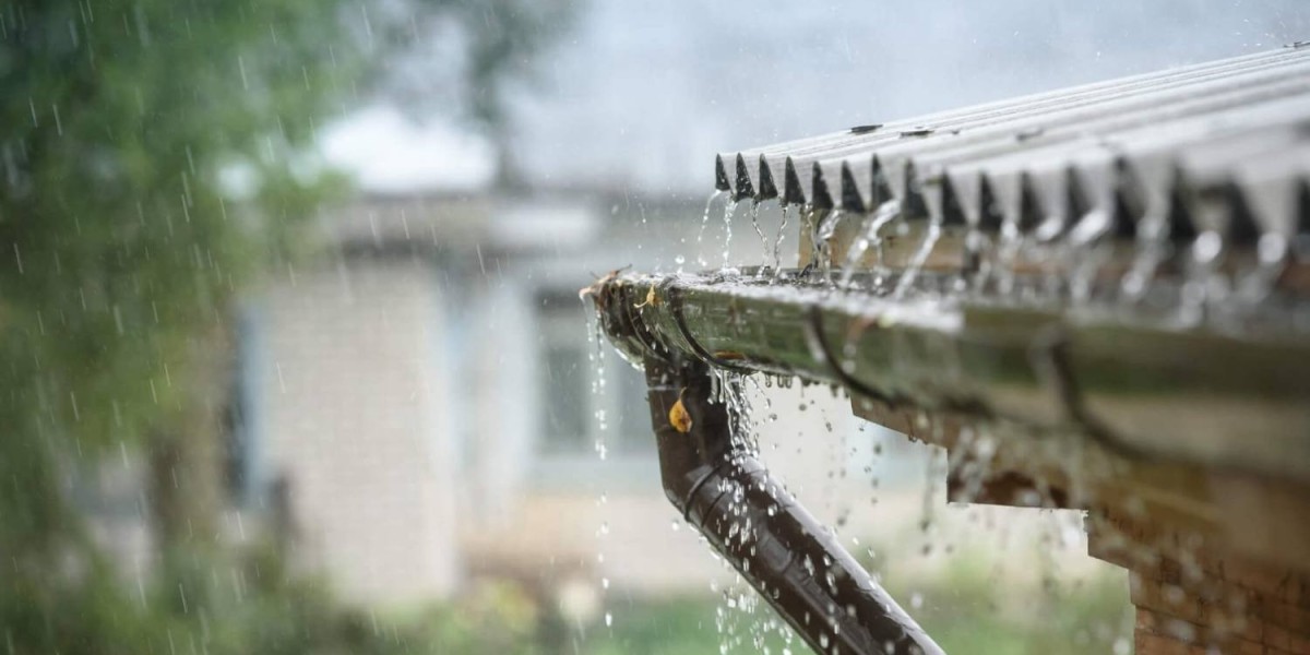Rain Gutter Protection: A Smart Investment for Every Home