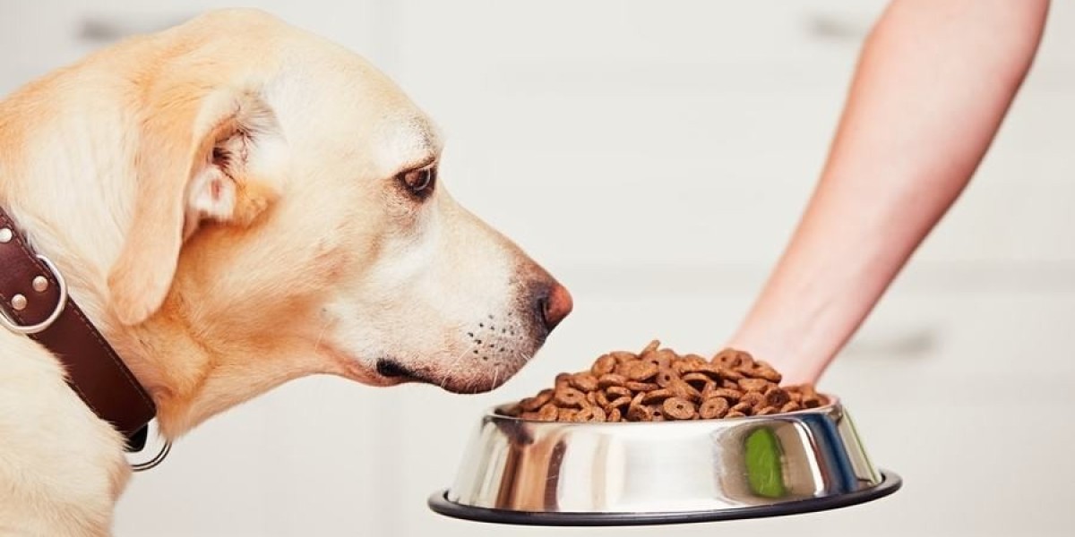 Dog Food Market: Trends, Developments, and Future Prospects