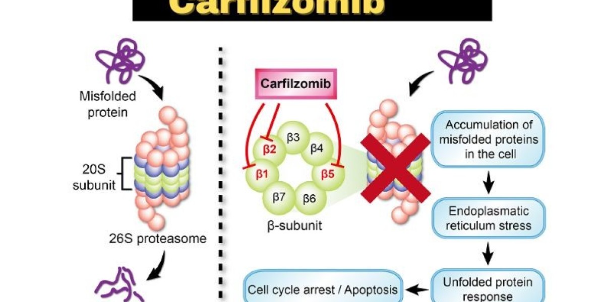 Carfilzomib Market  Share, Growth, Forecast And Global Industry Outlook 2024 – 2034