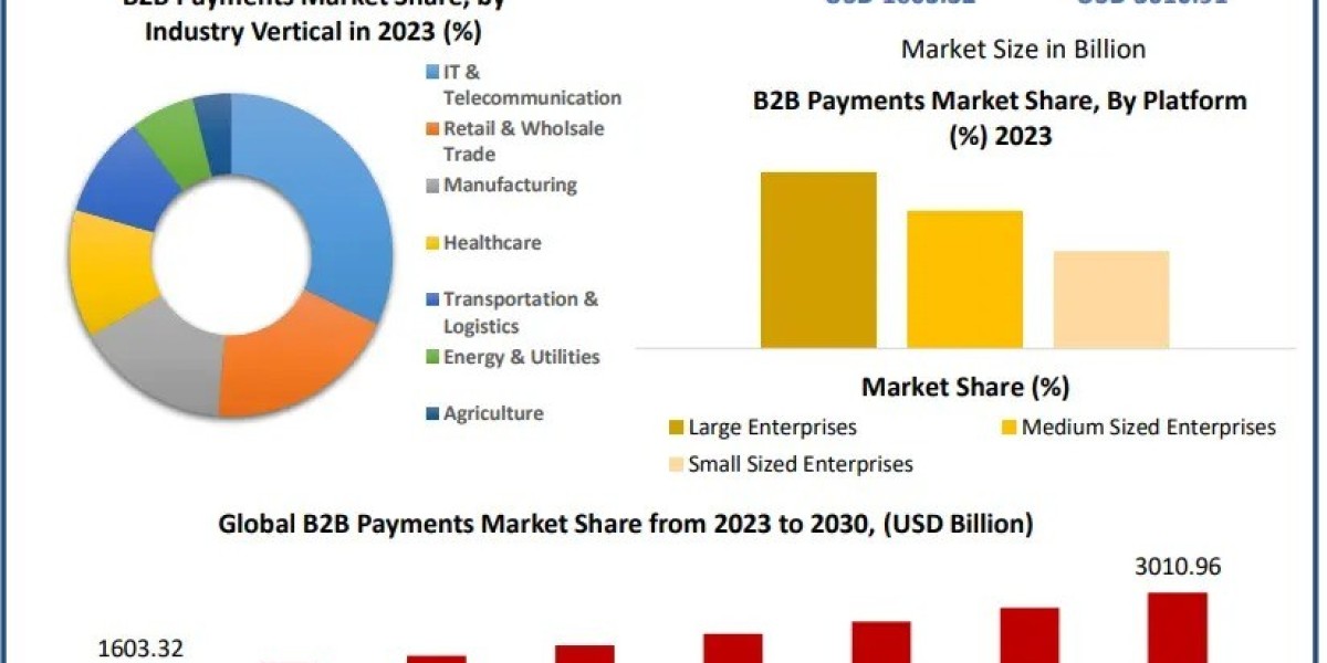 B2B Payments Market: Global Insights and Projections (2024-2030)