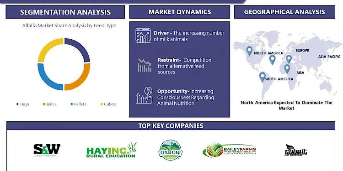Alfalfa Market 2024 - By Size, Share, Forecast And Trends Analysis Report -2032 | IMR