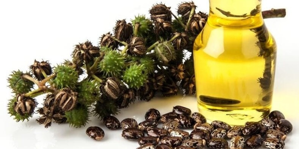 Castor Oil Market Projected to Hit USD 1,808.50 Million by 2034, With 3.2% Annual Growth