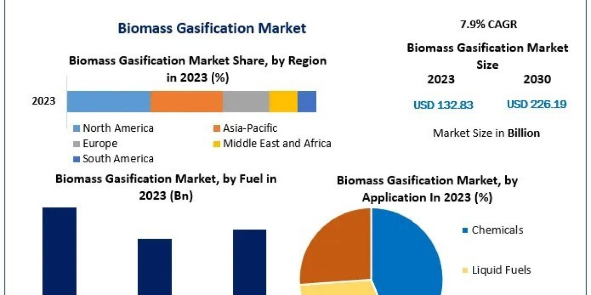Biomass Gasification Market Insights and Predictions (2024-2030)