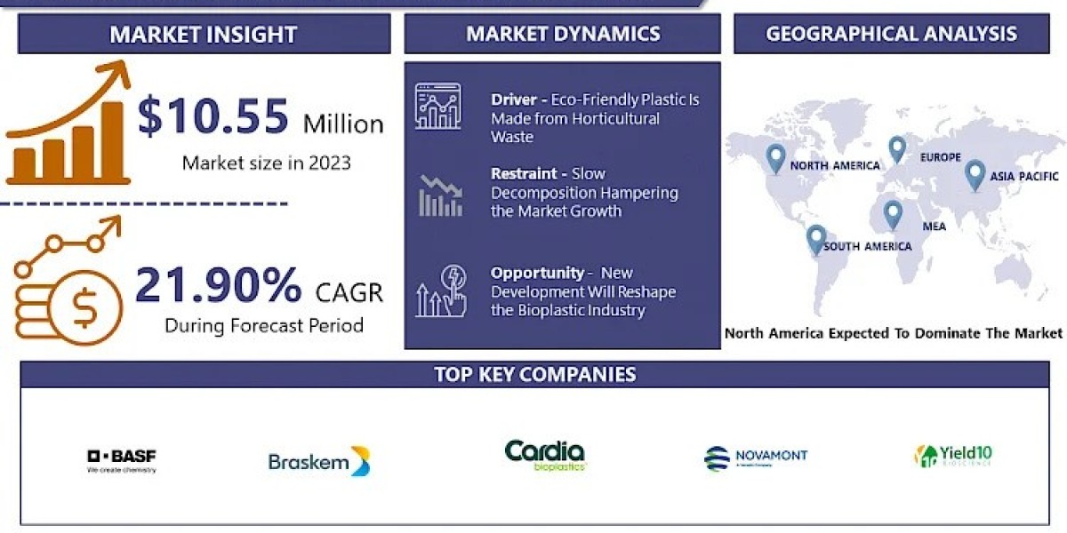 Horticulture Bioplastic Market Outlook, Trend, Type, Raw Material, Top Companies, Region, Forecast by 2032 | IMR