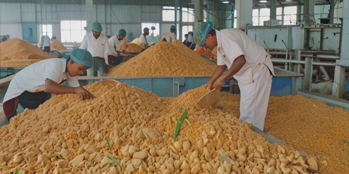 Ginger Processing Plant Project Report 2024: Setup Details, Capital Investments and Expenses