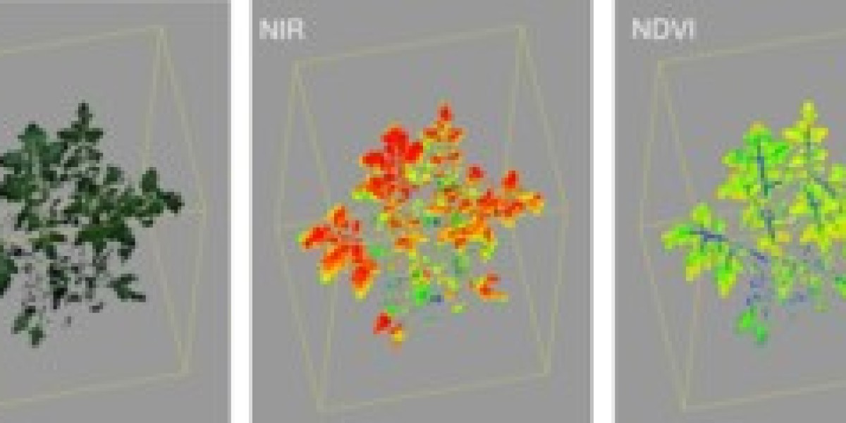 Plant Phenotyping Market to Expand to USD 497.4 Million by 2033 at a CAGR of 11%