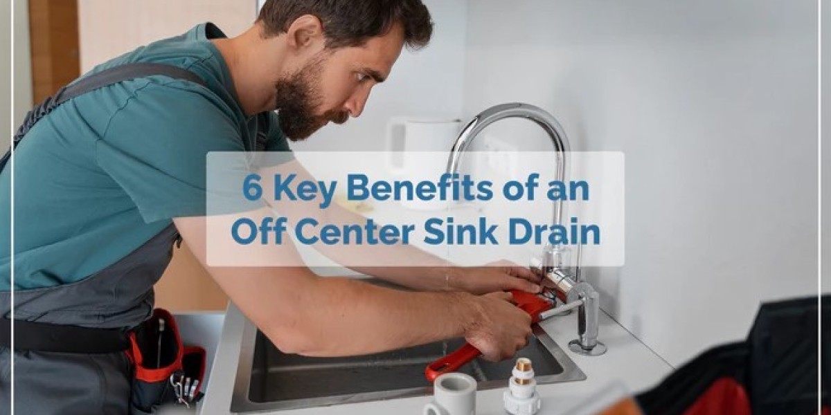 Revolutionizing Home Maintenance Why Drain Strain is a Game Changer