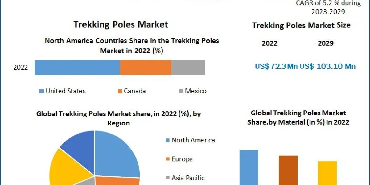 Trekking Poles Market Demand 2029: Consumer Preferences and Market Expansion