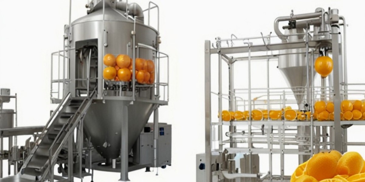 Vitamin C Supplement Manufacturing Plant Project Report 2024: Setup Cost, Machinery Requirements and Raw Materials