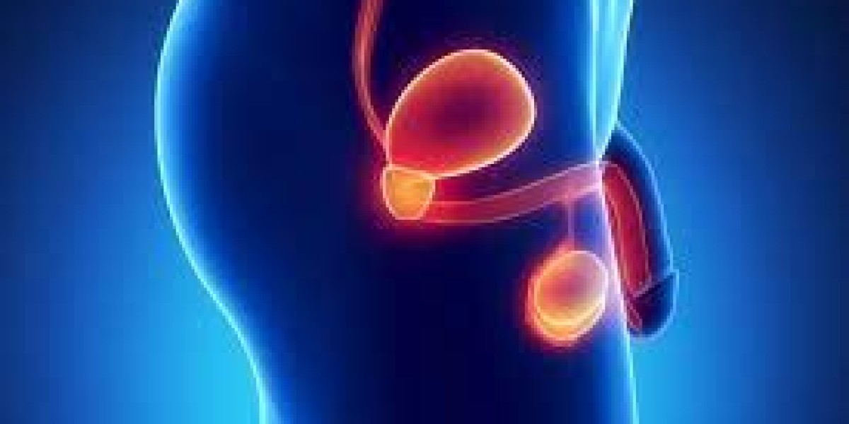 Male Hypogonadism Market Size, Share, In-Depth Insights, Opportunity and Forecast 2024-2032