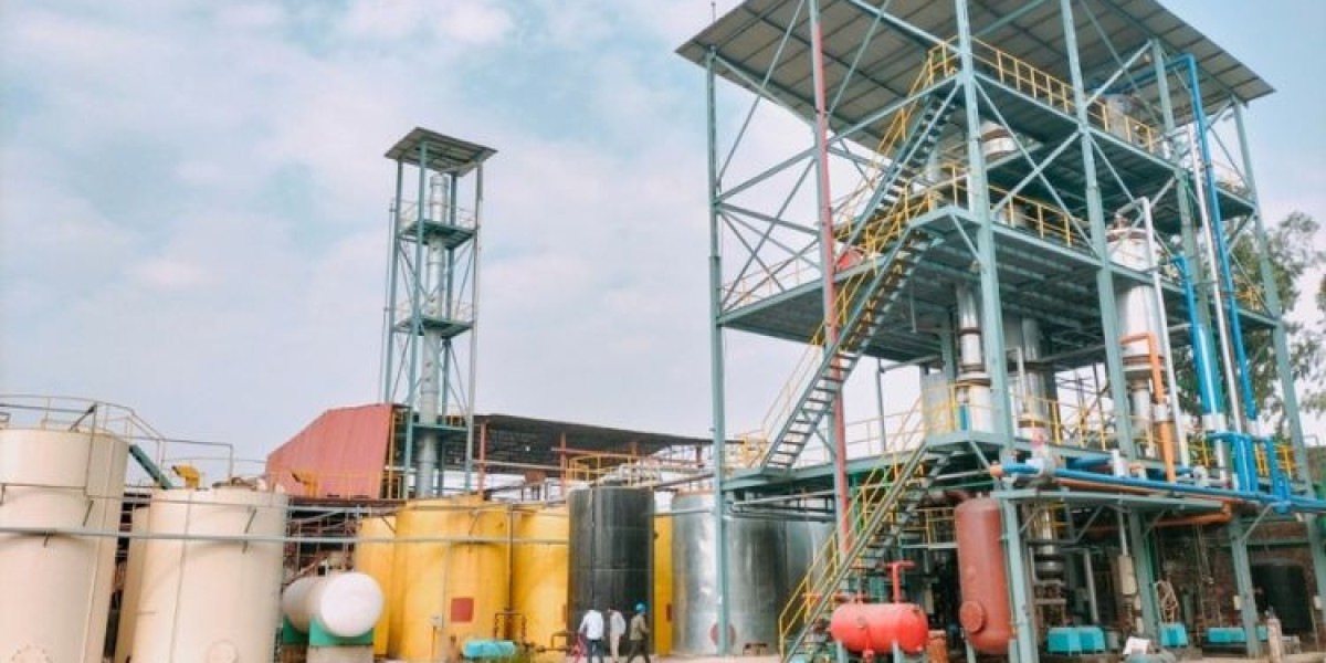 Comprehensive Guide to Setting Up a Biodiesel Manufacturing Plant in 2024