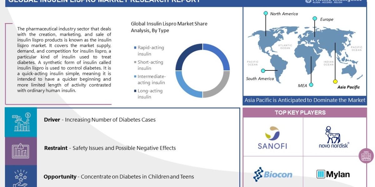 Insulin Lispro Market Forecast 2024-2032 - Major Trends, Segments And Fastest Growing Regions