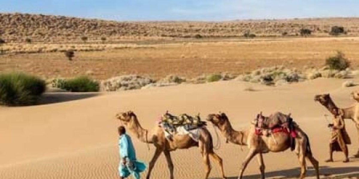 Explore the Royal State with Rajasthan Tour Packages