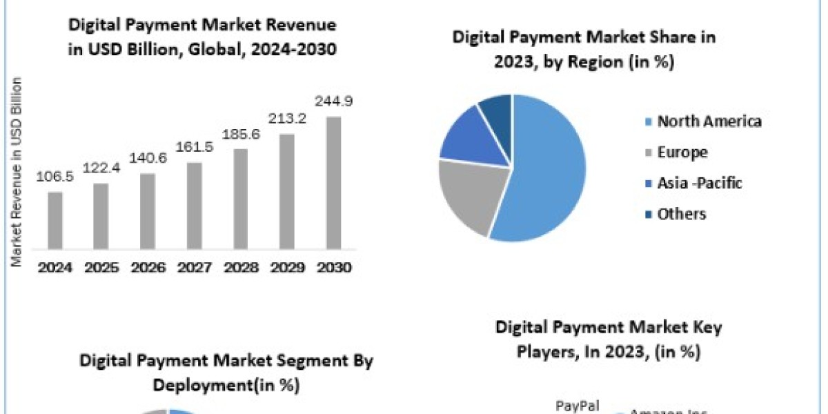 Digital Payment Market Size, Share, Price, Trends, Growth, Analysis, Report, Forecast 2024-2030