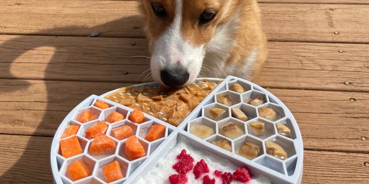 Healthy Treats for Dogs: Nutritious Snacks to Keep Your Pup Happy and Healthy