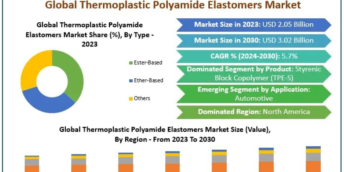 Global Thermoplastic Polyamide Elastomers Market Share, Growth, Trends 2030