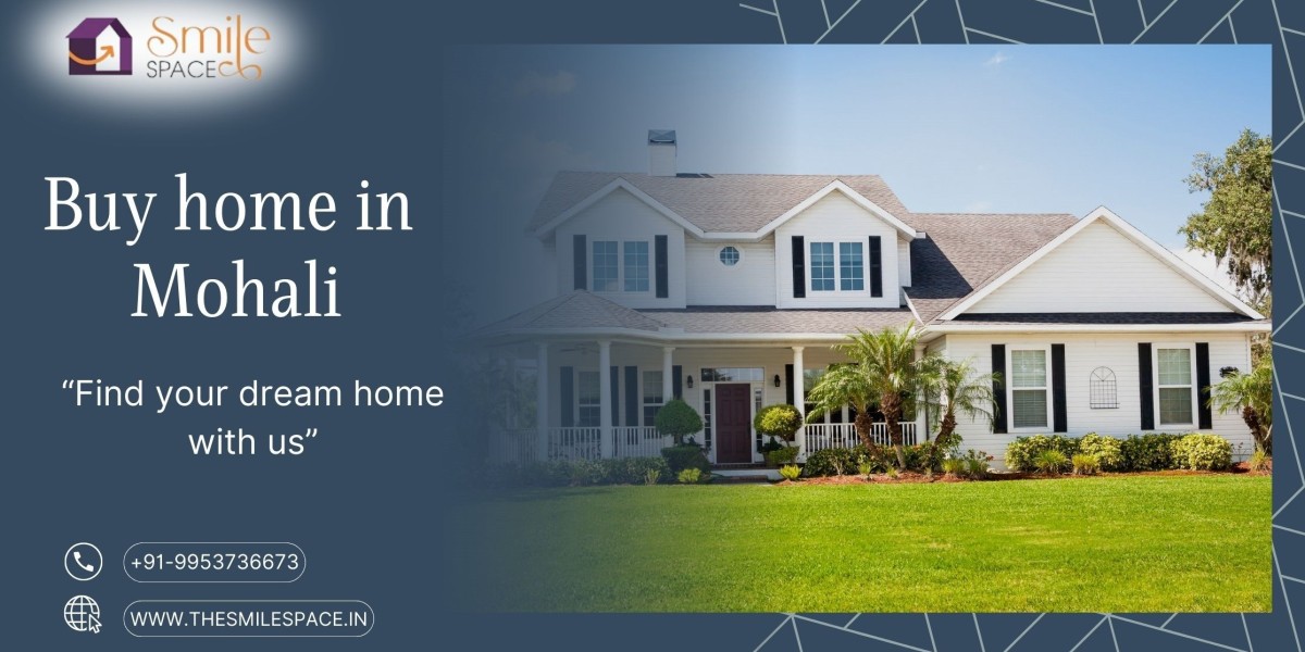 Buying a House in Mohali: What Are Your Options?