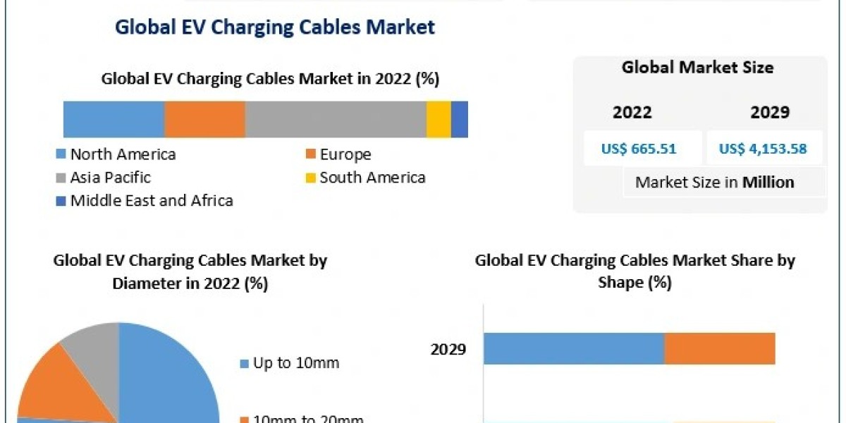 The EV Charging Cables Market Supply and Demand