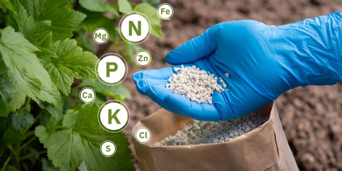 Indonesia Fertilizer Market Size 2024: Growth Opportunities and Future Outlook 2032