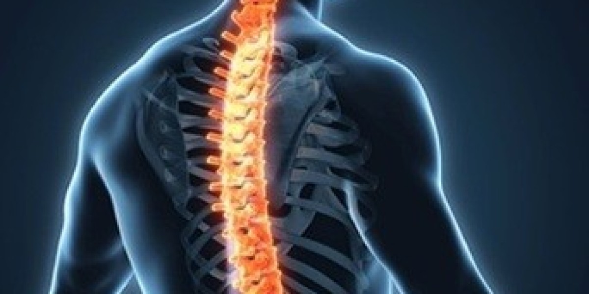 Spine Biologics Market Growth, Size, Share, Trends, and Forecast 2032