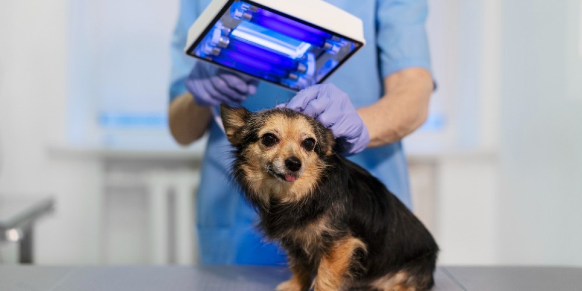 Veterinary Monitoring Equipment Market A Comprehensive Analysis of Growth Trends and Opportunities