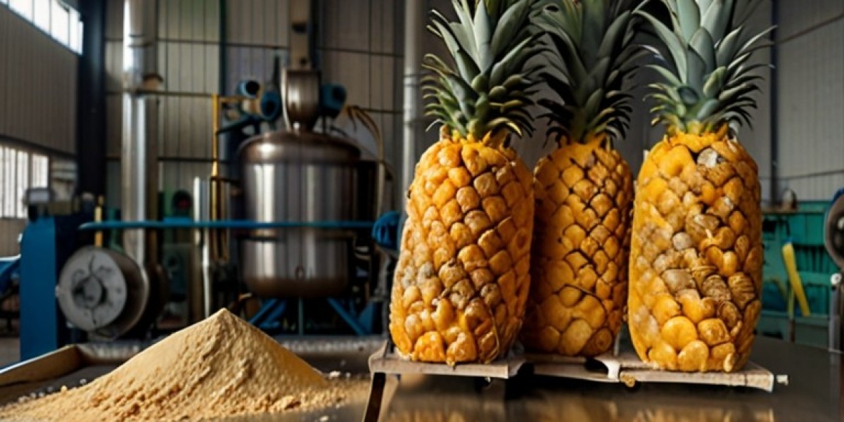 Pineapple Powder Manufacturing Plant Project Report 2024: Business Plan and Raw Material Requirements | IMARC Group
