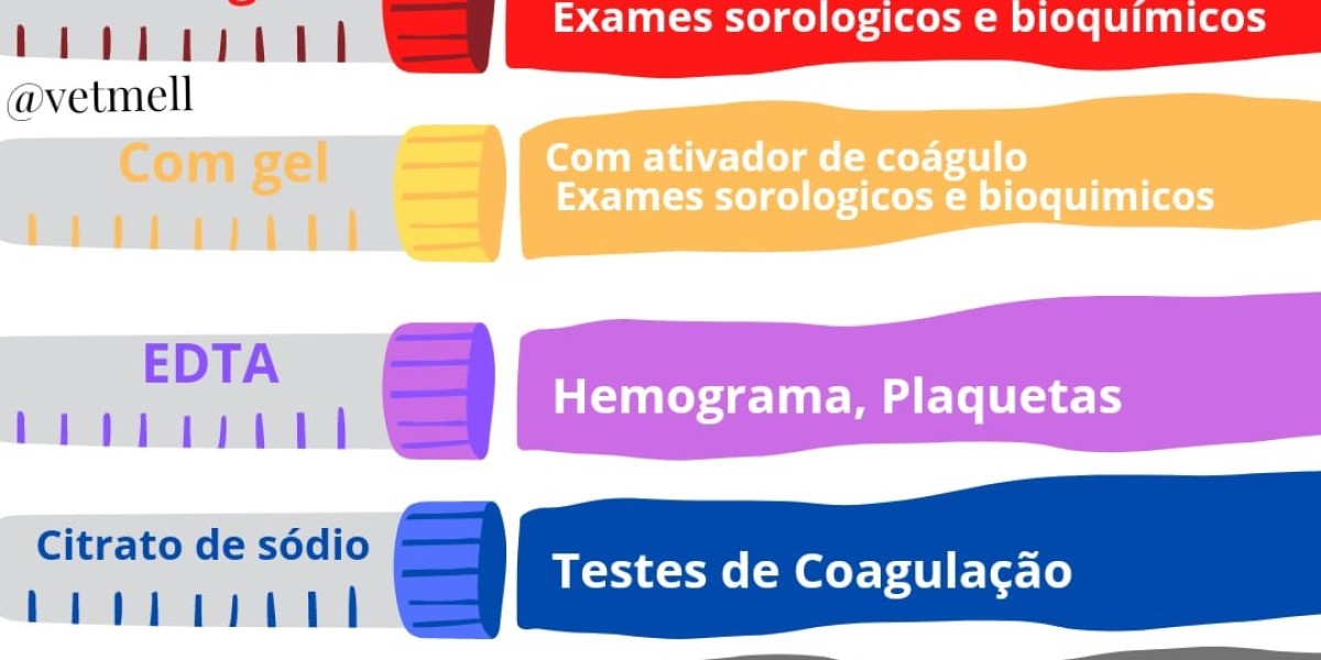 What Is a Complete Blood Count? CBC Blood Test