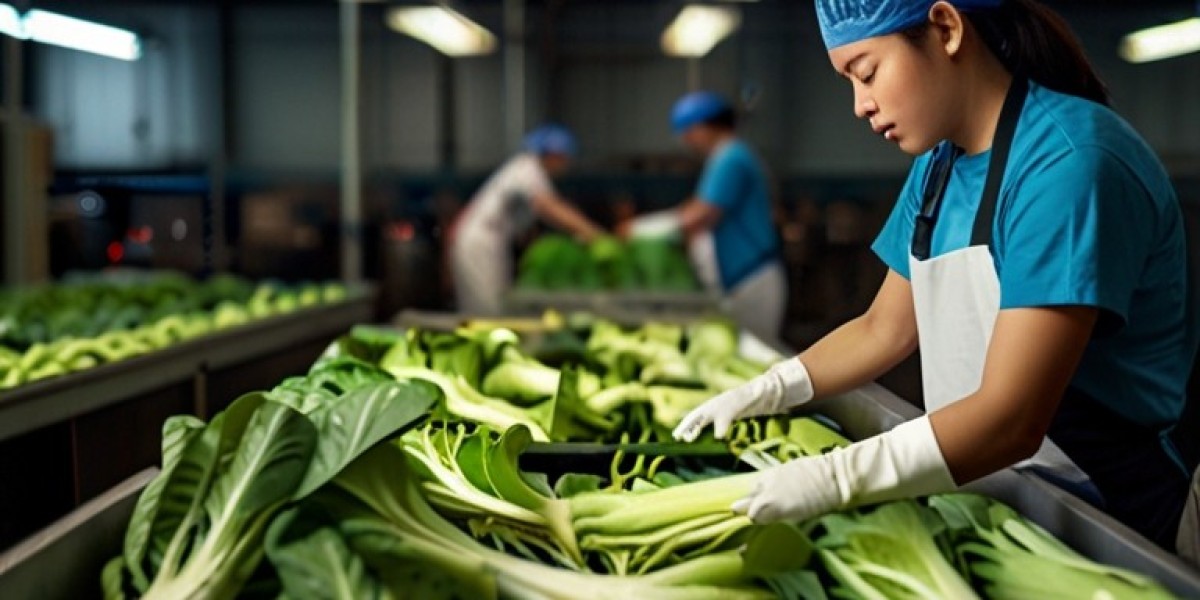 Bok Choy Processing Plant Project Report 2024: Setup Cost Analysis and Raw Materials