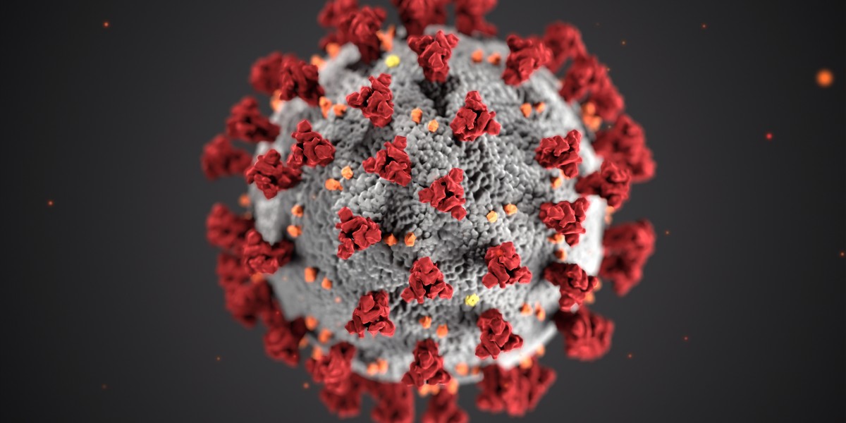 Food of the Future: Harnessing the Power of Liposomes