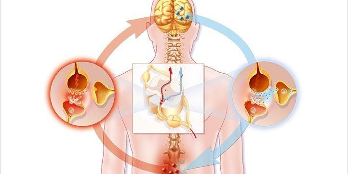 Gabapentin 400 mg's effect on seizure disorders and peripheral neuropathy