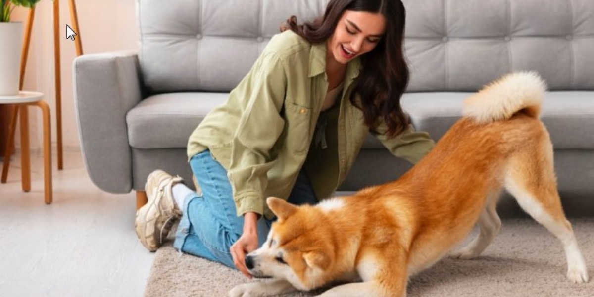 Pet Sitters Service New York