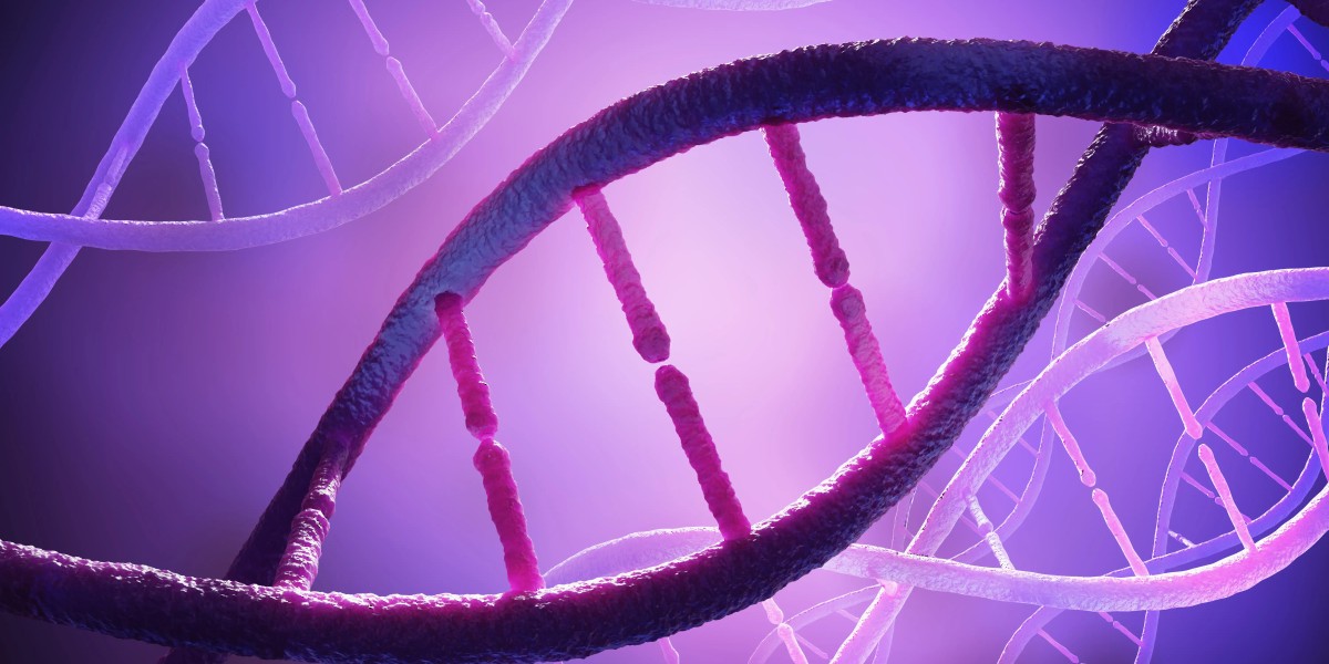 Darolutamide Market 2024 Analysis Key Trends, Growth Opportunities, Challenges, Key Players, End User Demand and Forecas