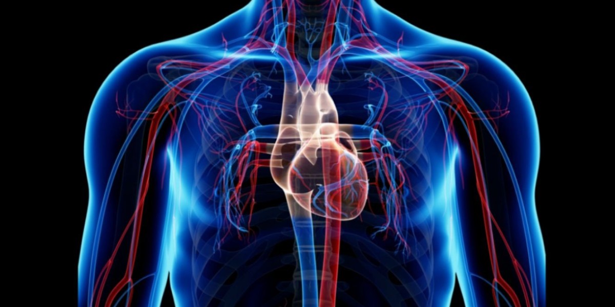 Cardiovascular Devices Market Latest Technological Developments Report by 2034