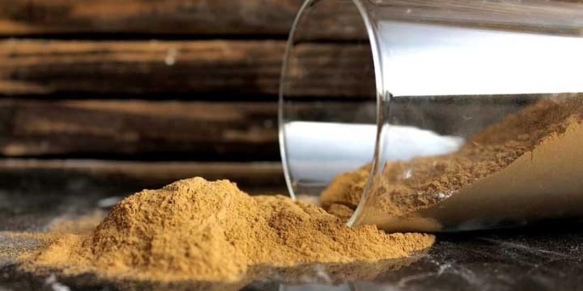 Detail Project Report: Setting up a Dextrin Manufacturing Plant Edition 2024, Cost and Revenue