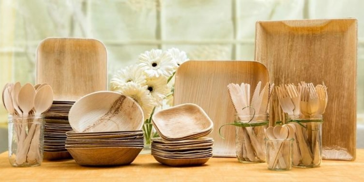 Rice Husk Based Biodegradable Disposable Cups And Plates Manufacturing Plant Project Report 2024: Comprehensive Business